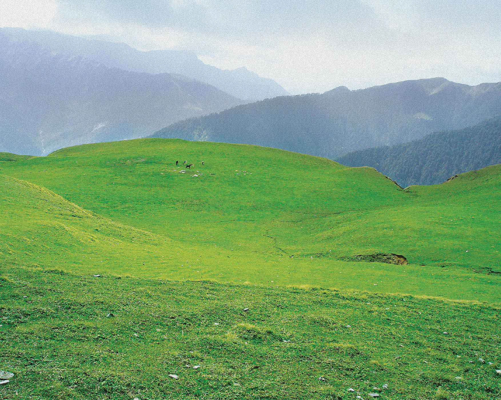 Monsoon Trek to Bedni Bugyal